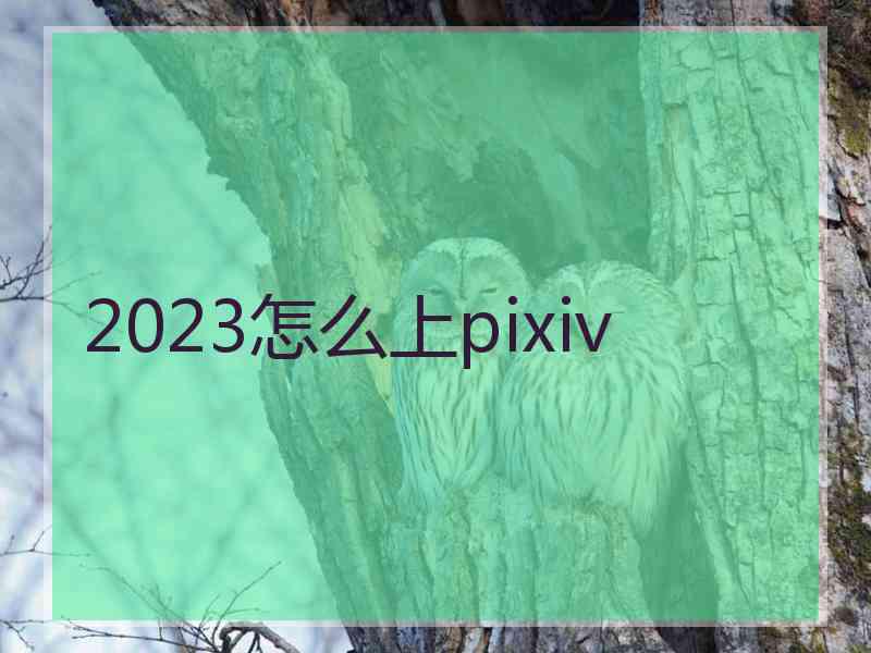 2023怎么上pixiv