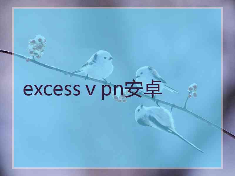 excessⅴpn安卓