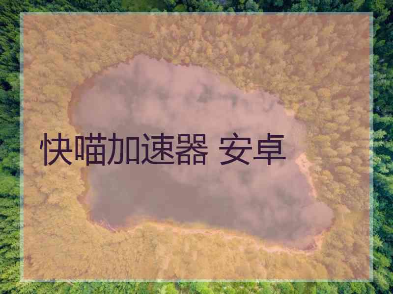 快喵加速器 安卓