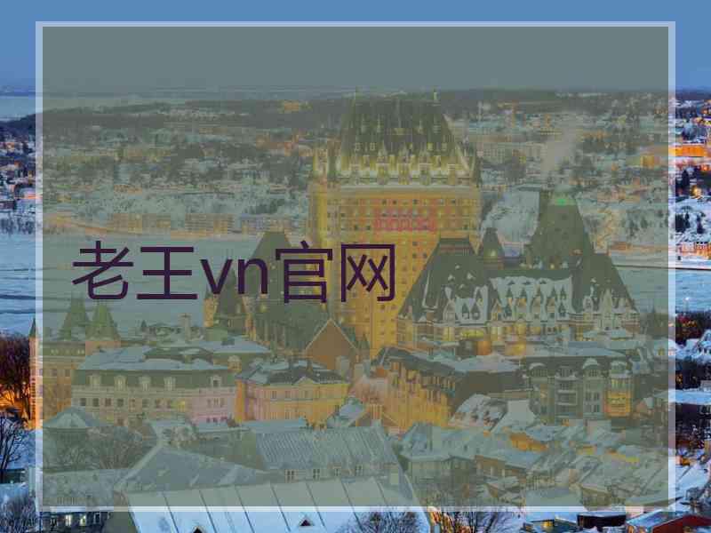 老王vn官网