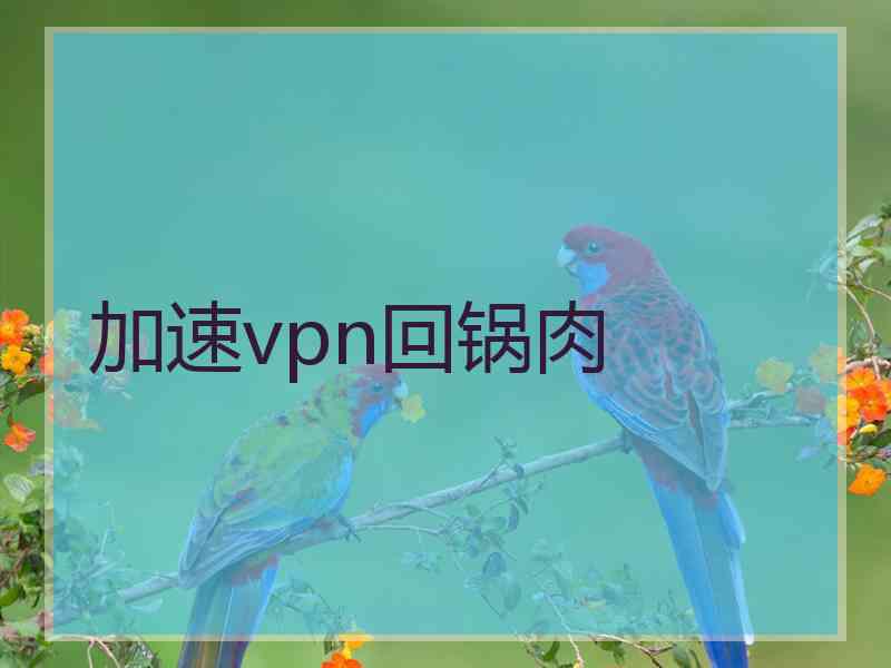 加速vpn回锅肉