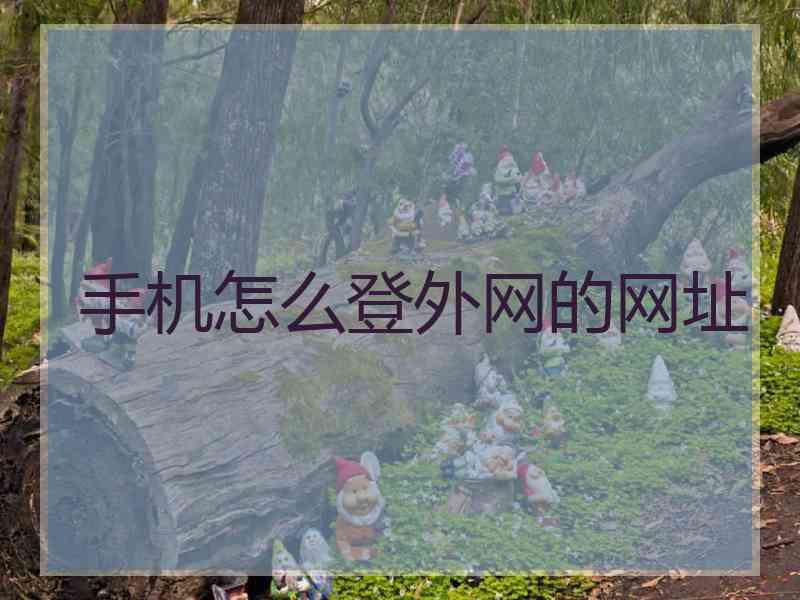 手机怎么登外网的网址