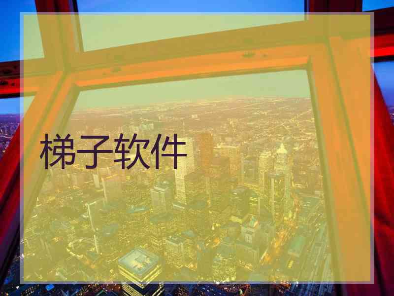 梯子软件