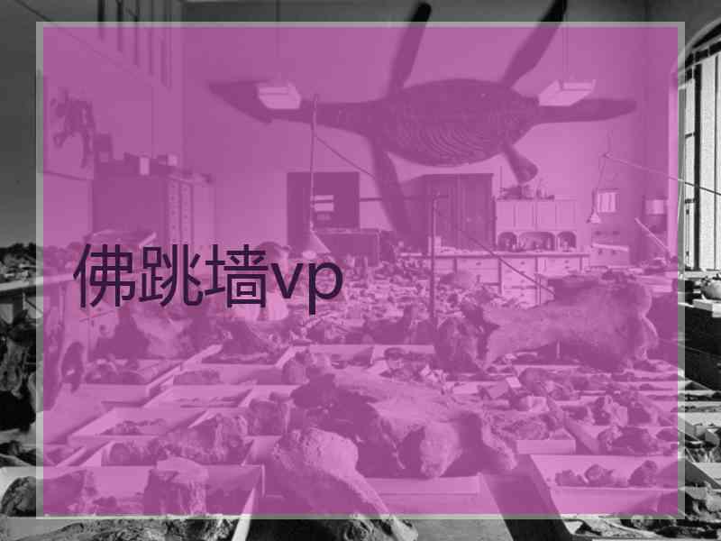 佛跳墙vp