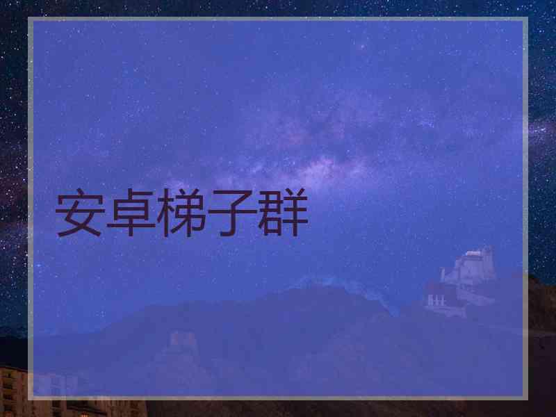 安卓梯子群