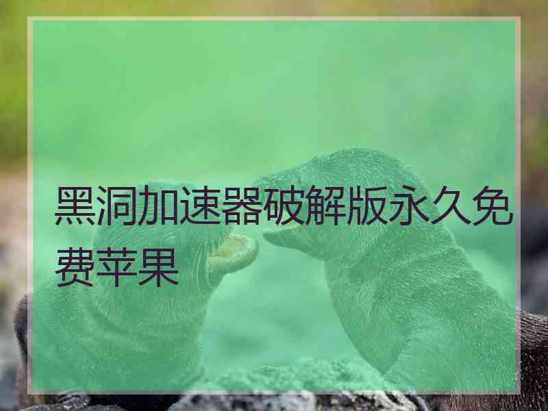 黑洞加速器破解版永久免费苹果