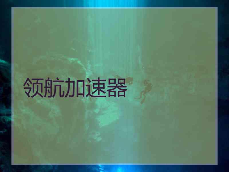 领航加速器