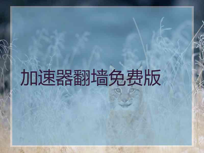 加速器翻墙免费版