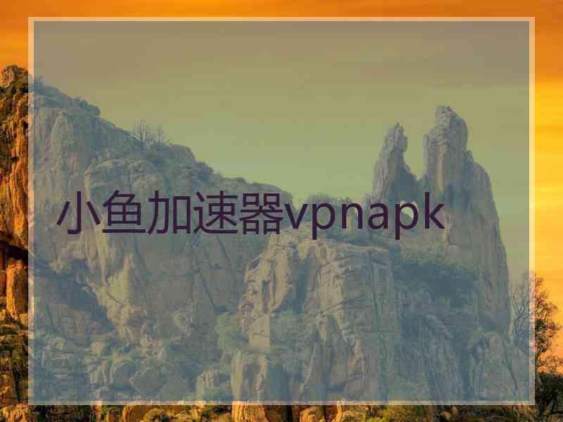 小鱼加速器vpnapk