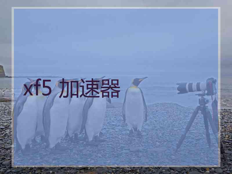 xf5 加速器