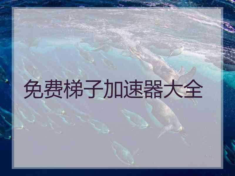 免费梯子加速器大全
