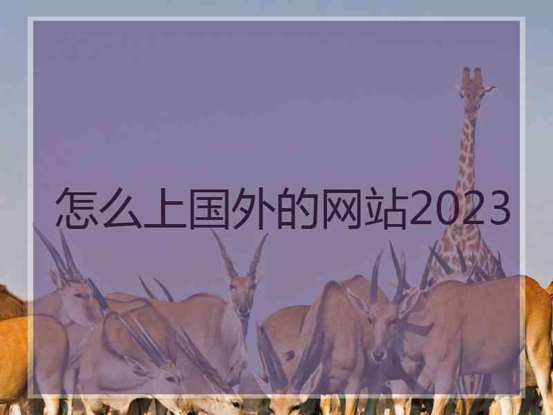 怎么上国外的网站2023