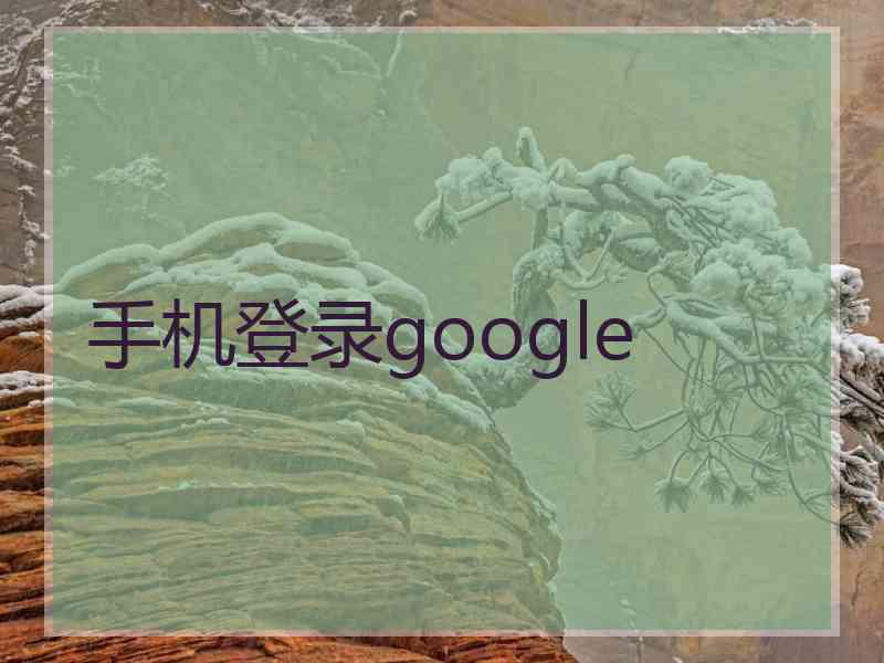手机登录google