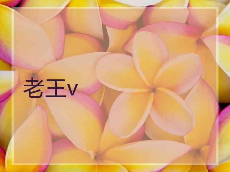 老王v