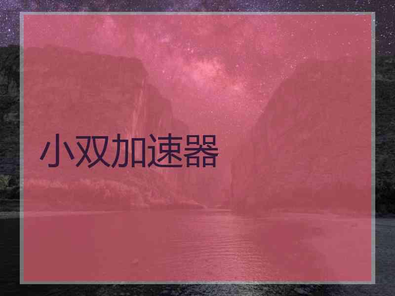 小双加速器