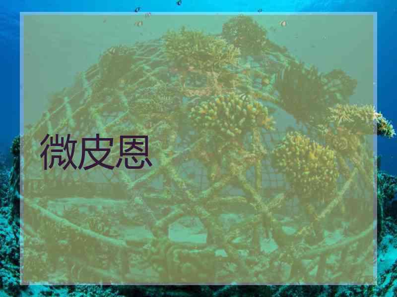 微皮恩
