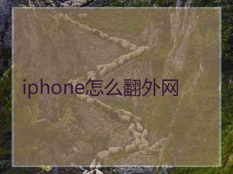 iphone怎么翻外网