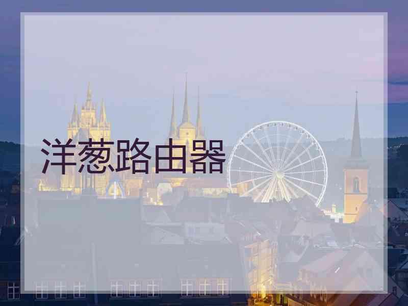 洋葱路由器