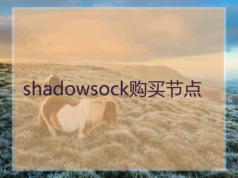 shadowsock购买节点