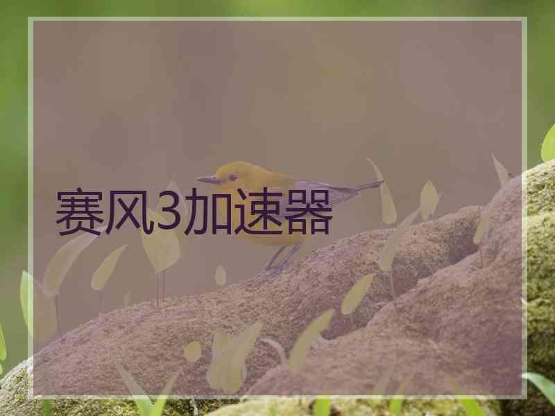 赛风3加速器