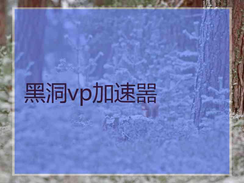黑洞vp加速噐