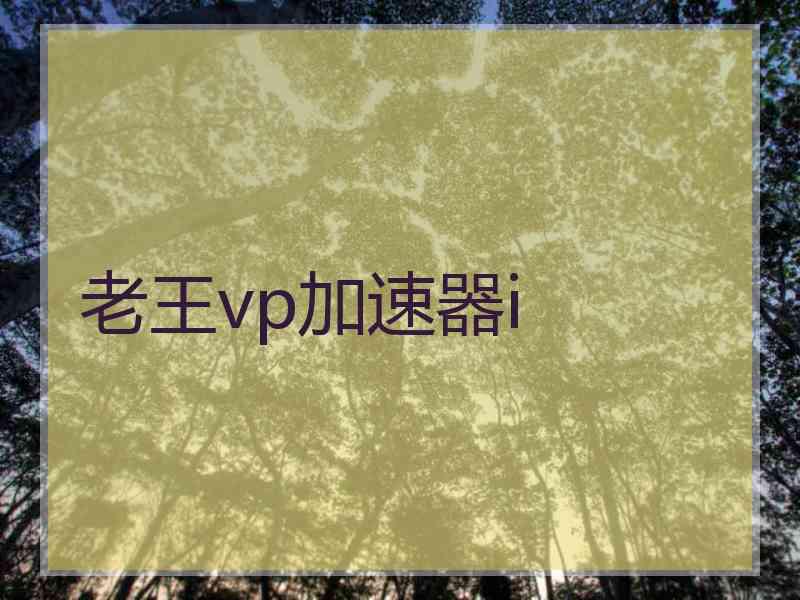 老王vp加速器i