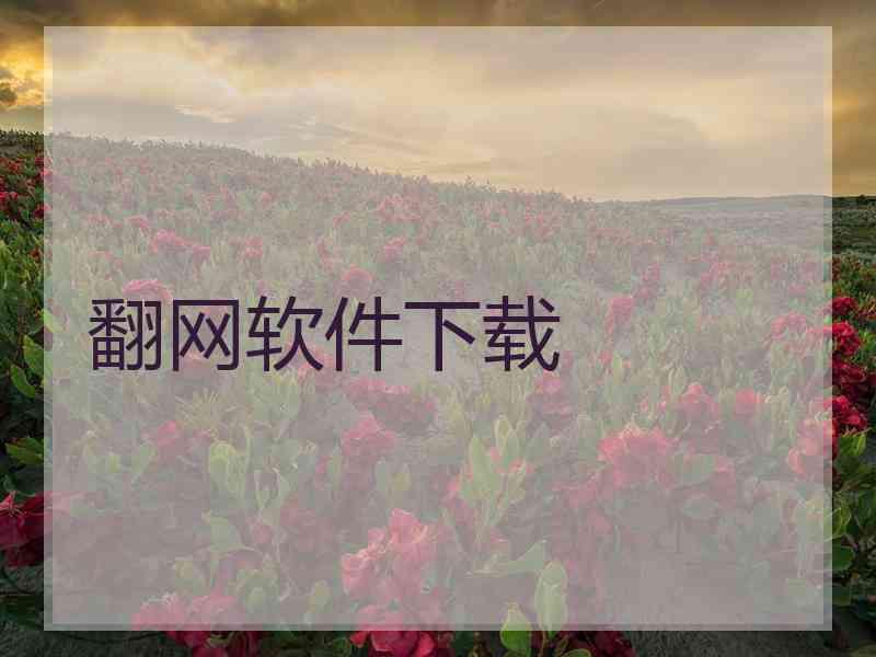 翻网软件下载