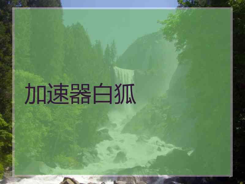 加速器白狐