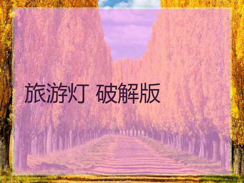 旅游灯 破解版