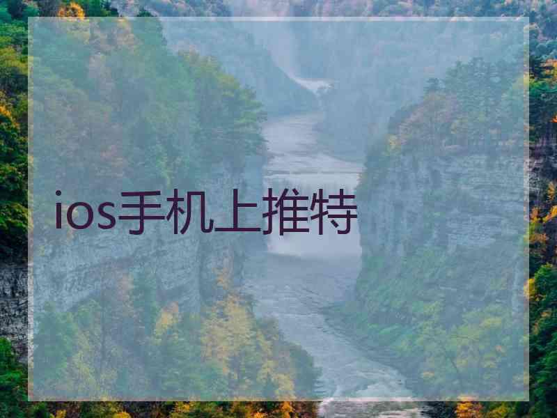 ios手机上推特