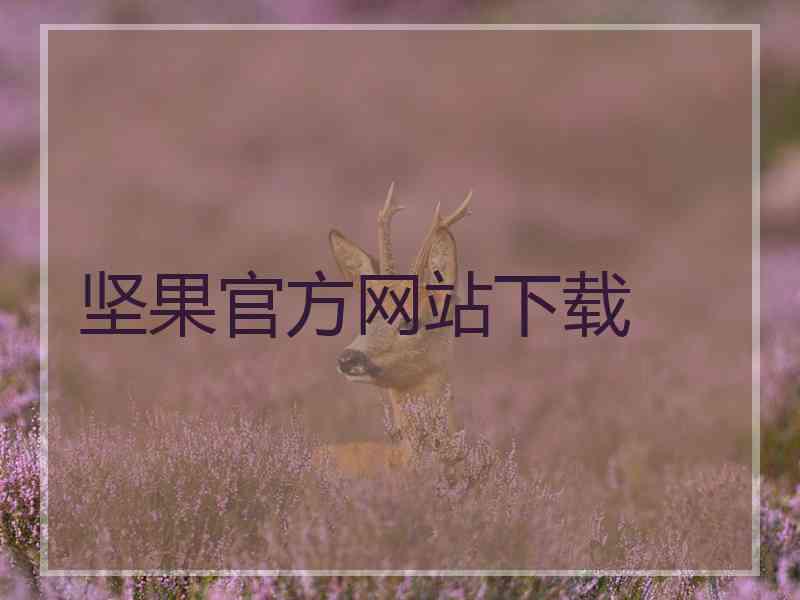 坚果官方网站下载