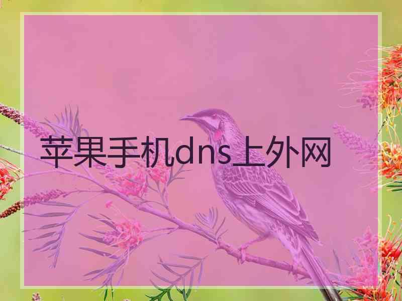 苹果手机dns上外网