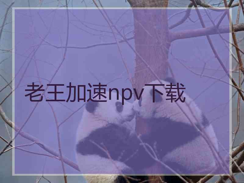 老王加速npv下载