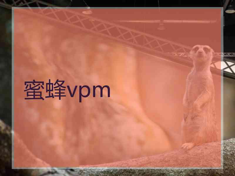 蜜蜂vpm