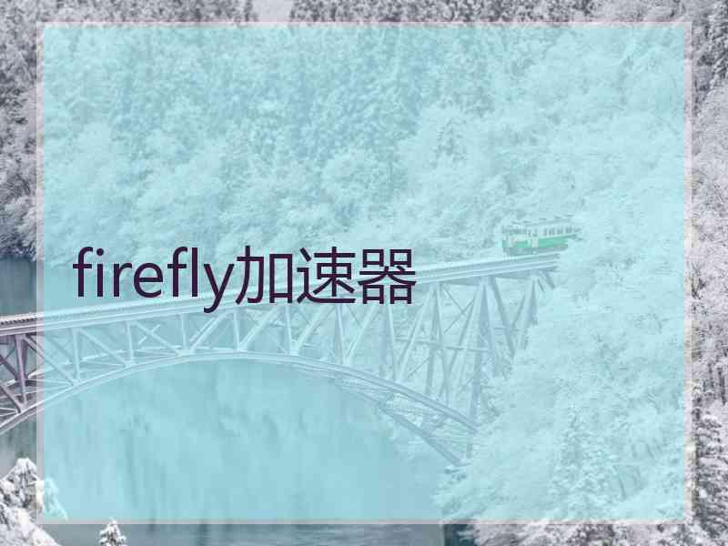 firefly加速器