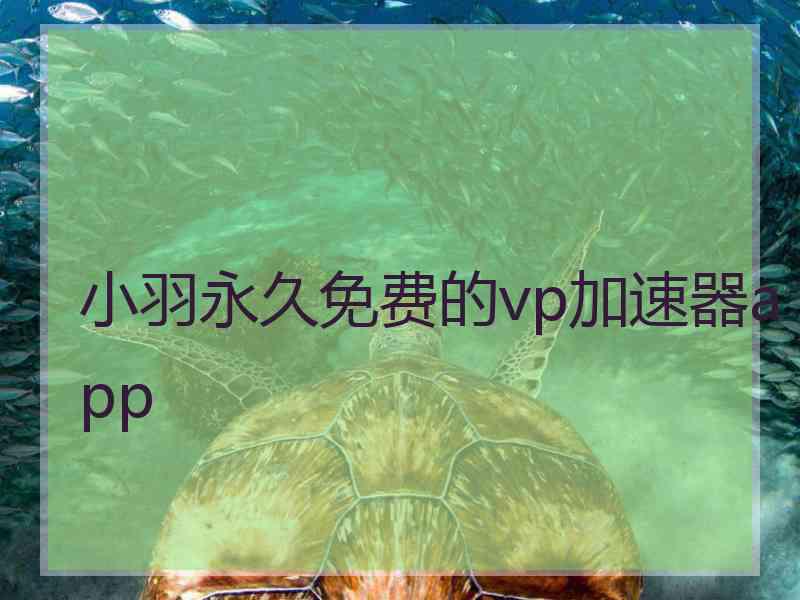 小羽永久免费的vp加速器app