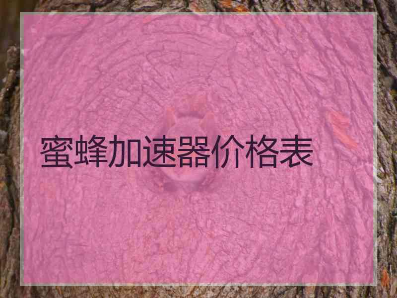蜜蜂加速器价格表