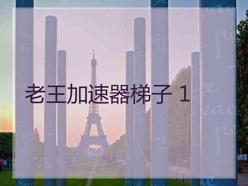 老王加速器梯子 1
