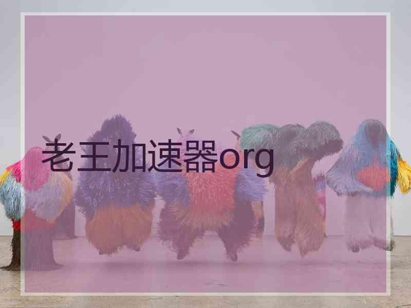 老王加速器org