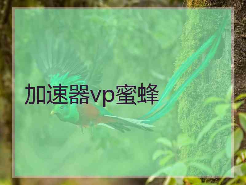 加速器vp蜜蜂