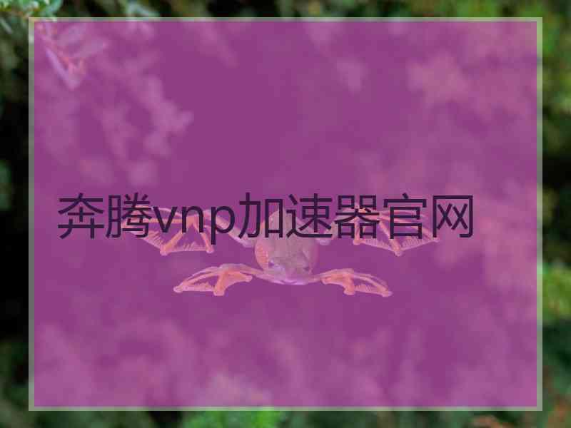 奔腾vnp加速器官网