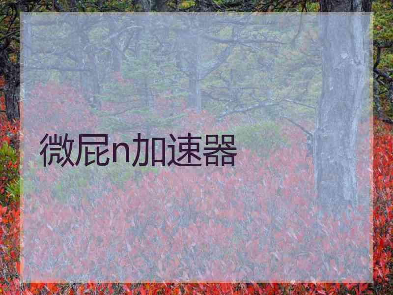 微屁n加速器