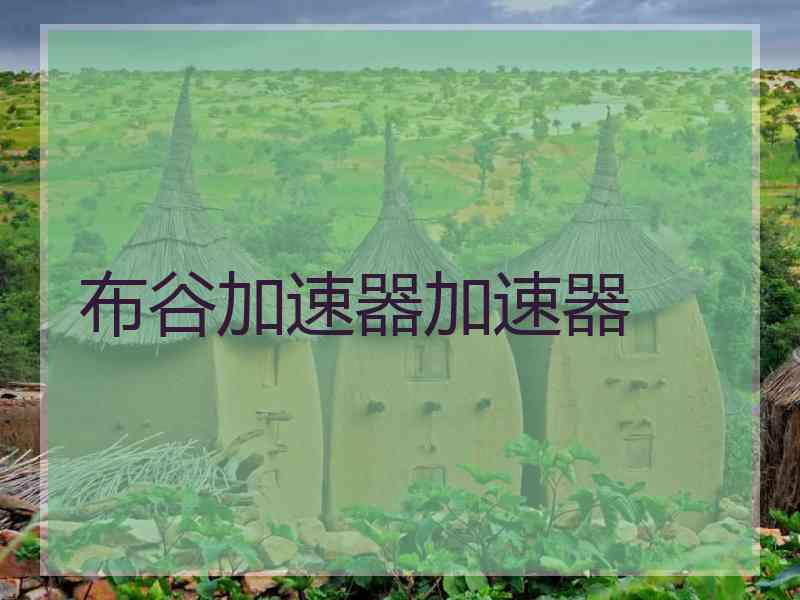 布谷加速器加速器