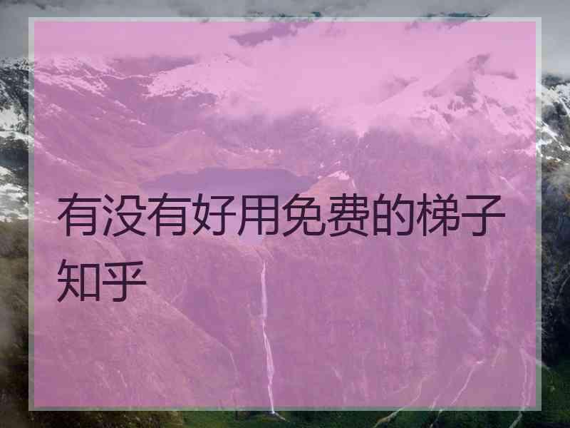 有没有好用免费的梯子 知乎