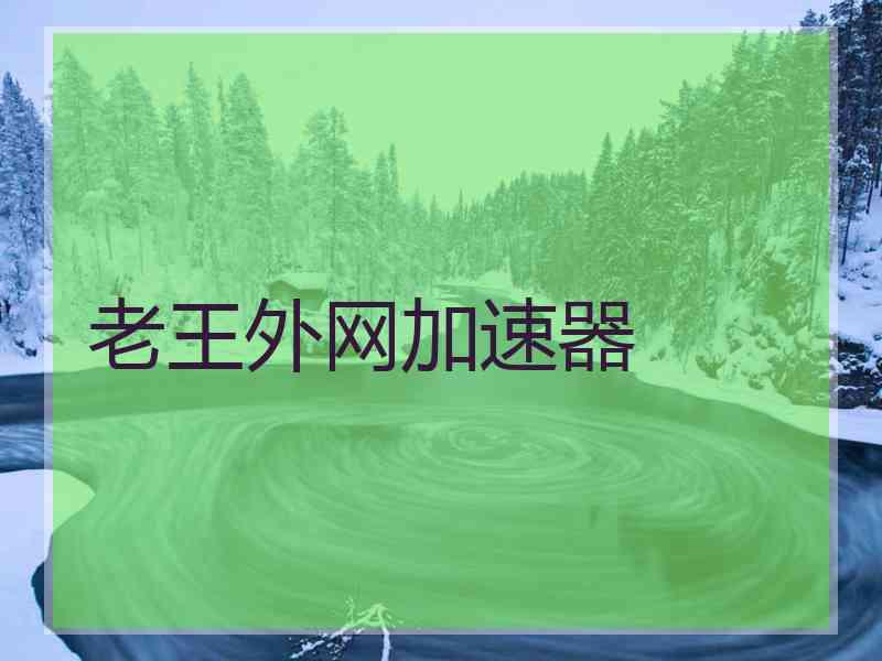 老王外网加速器