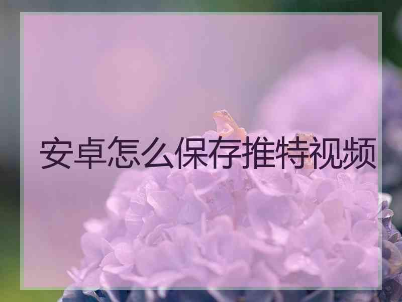 安卓怎么保存推特视频