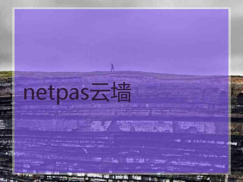 netpas云墙