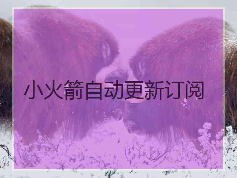 小火箭自动更新订阅