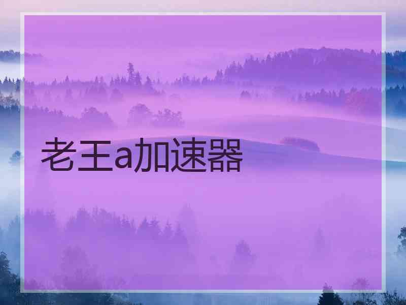 老王a加速器
