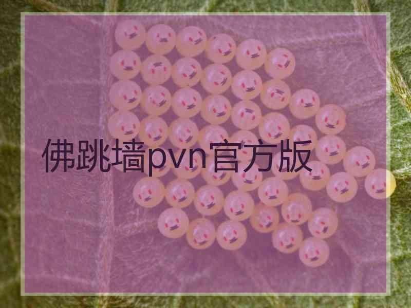 佛跳墙pvn官方版